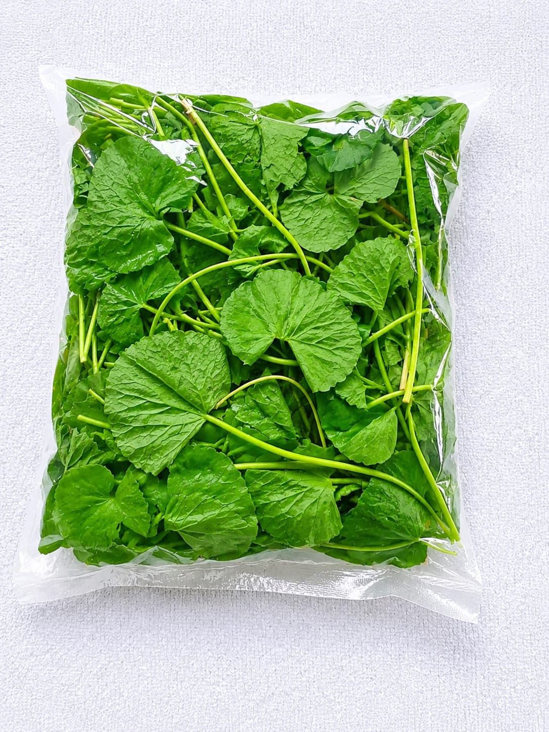 Gotukola (100 g) - Image 2